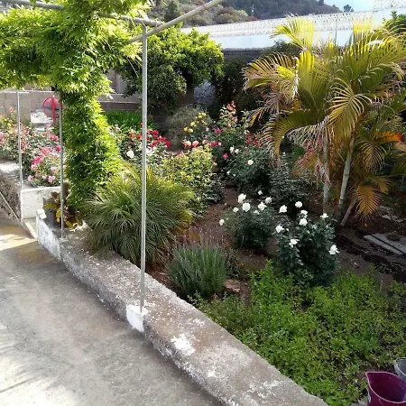 Centro De La Palma شقة إل باسو